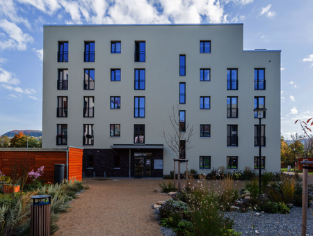 Gremienarbeit und Ausschüsse