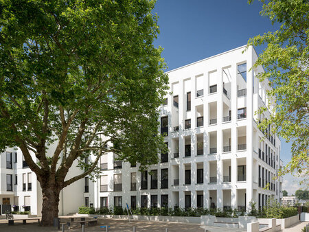 Akademische Nachwuchsförderung in der Kalksandsteinindustrie